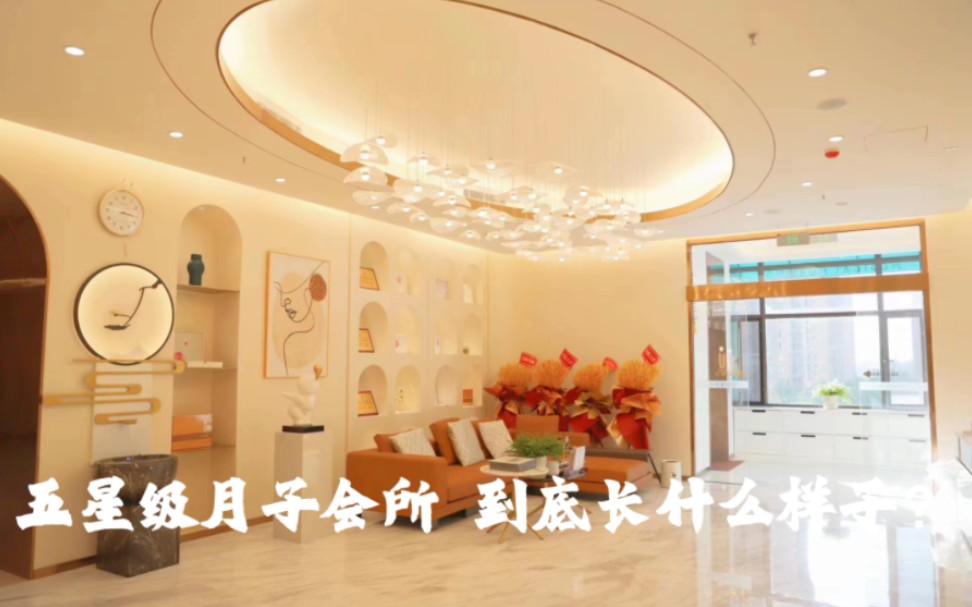金牌月嫂加盟店的服务优势