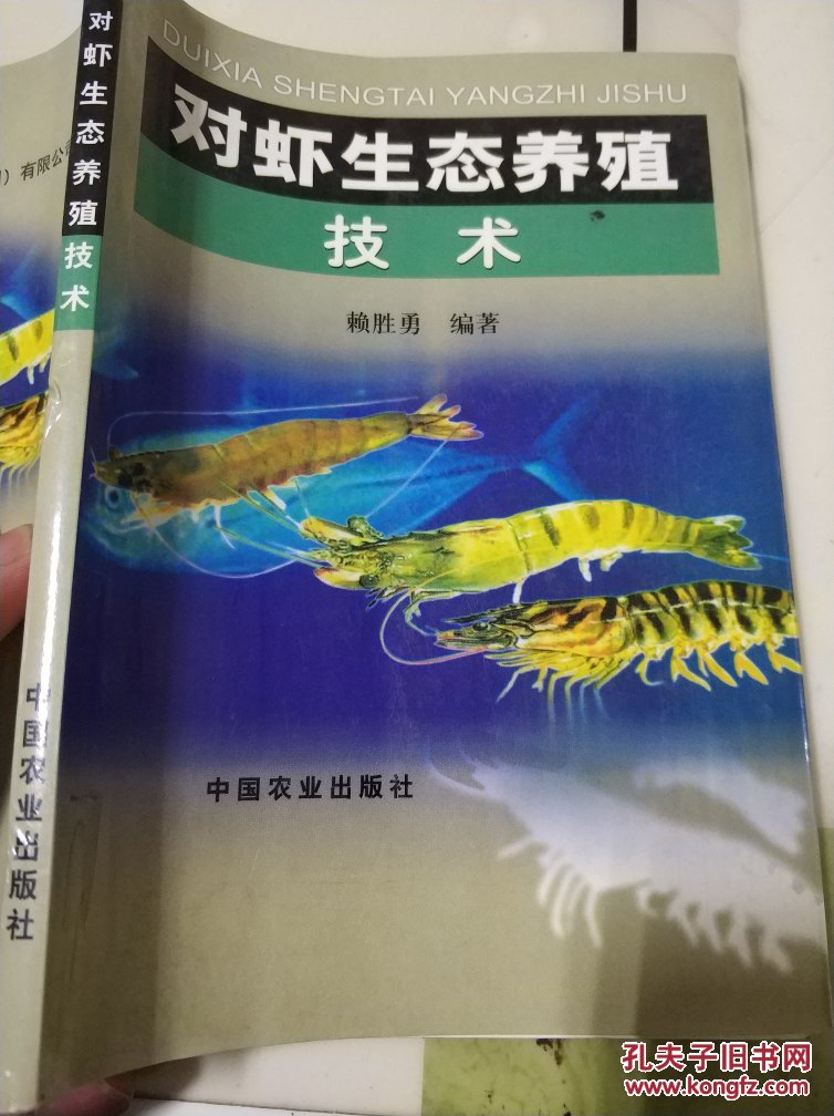 对虾养殖技术方法