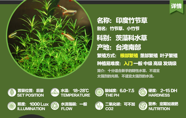 选材与繁殖