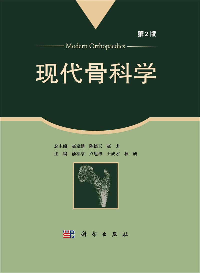 放大镜特效
