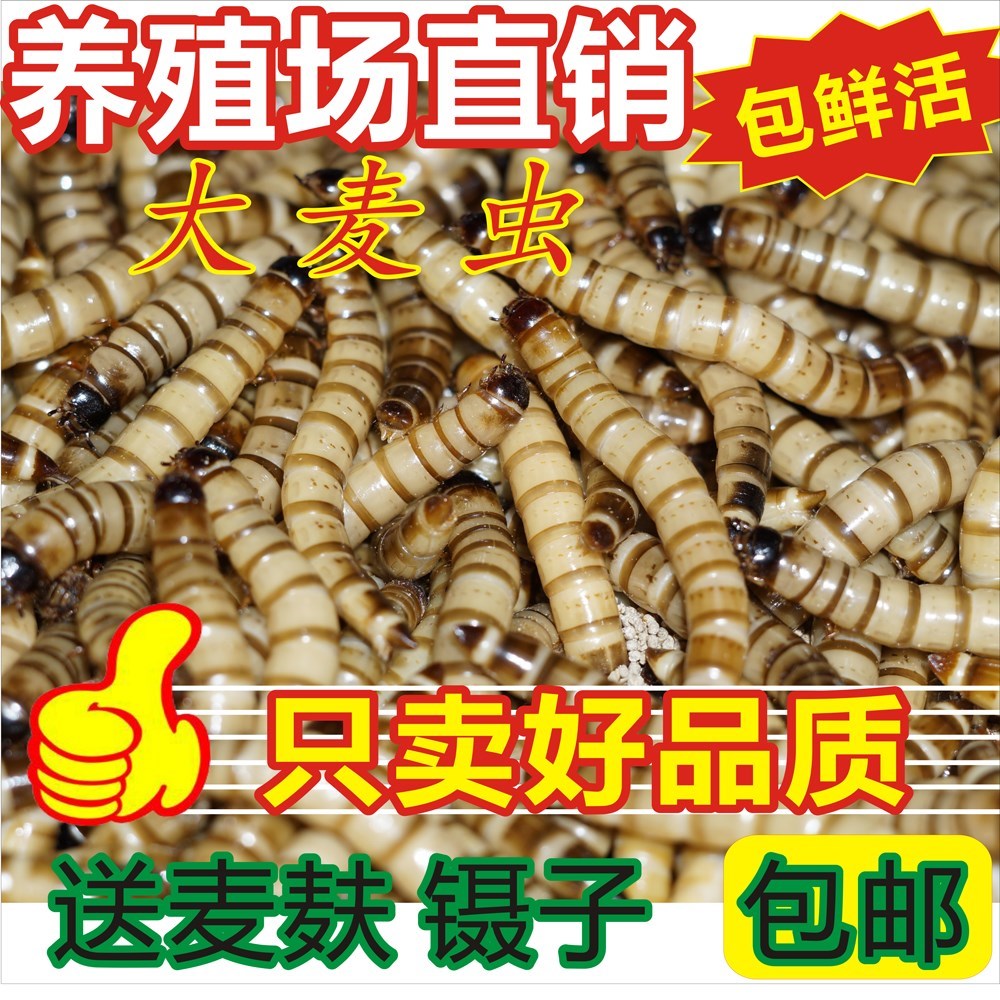 总结
