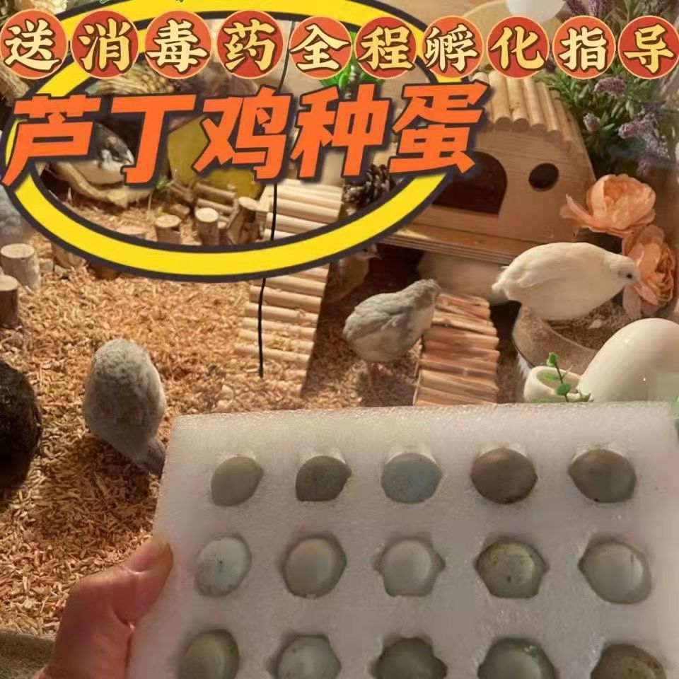 结语