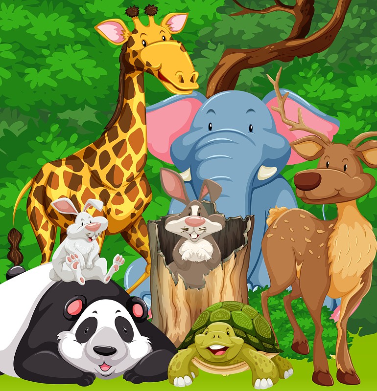 3. 狼
