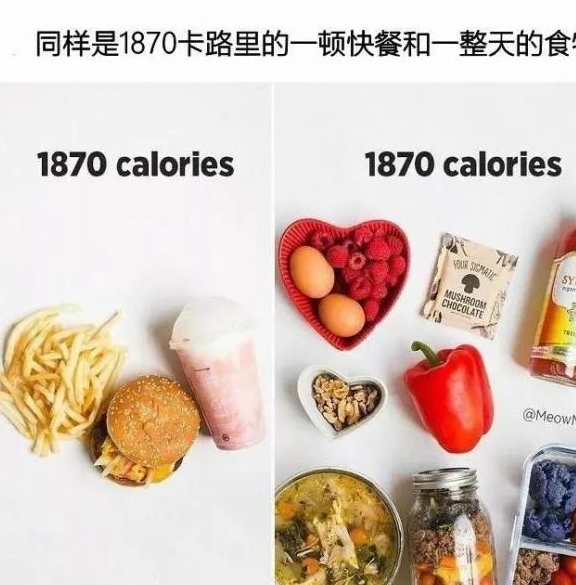 如何科学控制饮食