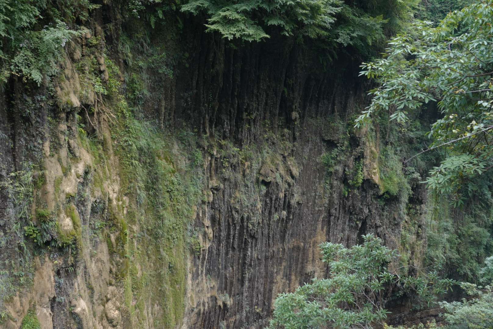 惊叹不已的意思