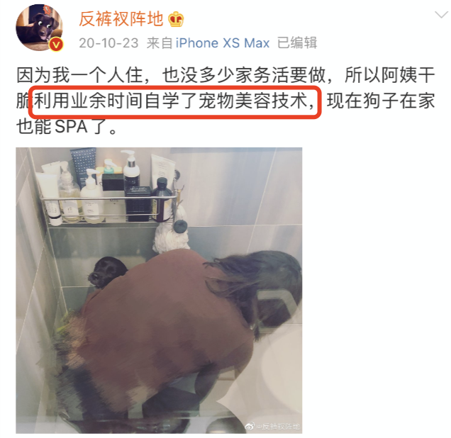 高薪保姆的高要求