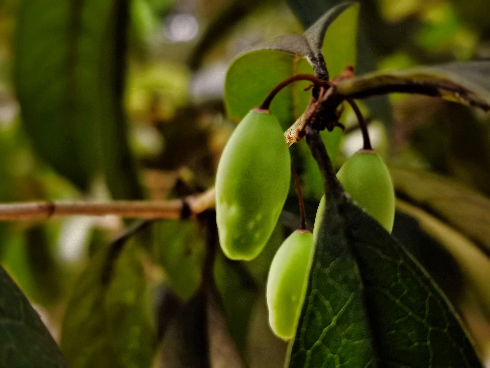 小结