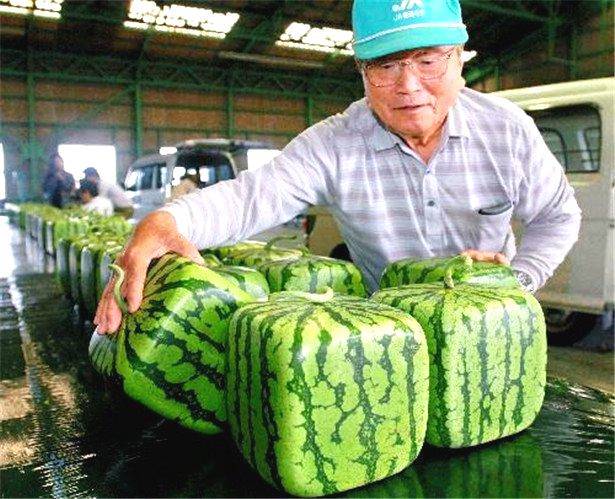 结语