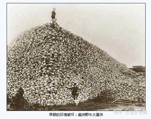 京观有哪些应用场景？