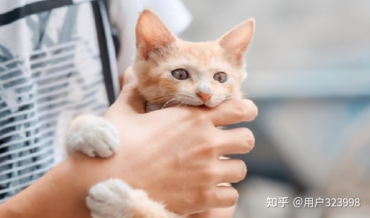 四个可能的原因