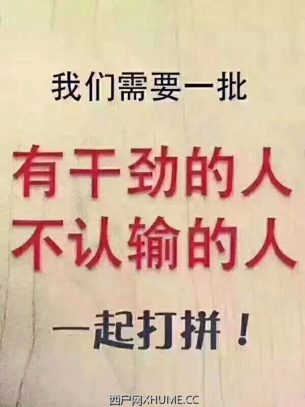 多样的招聘岗位