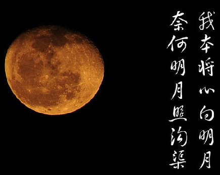 诗句背景