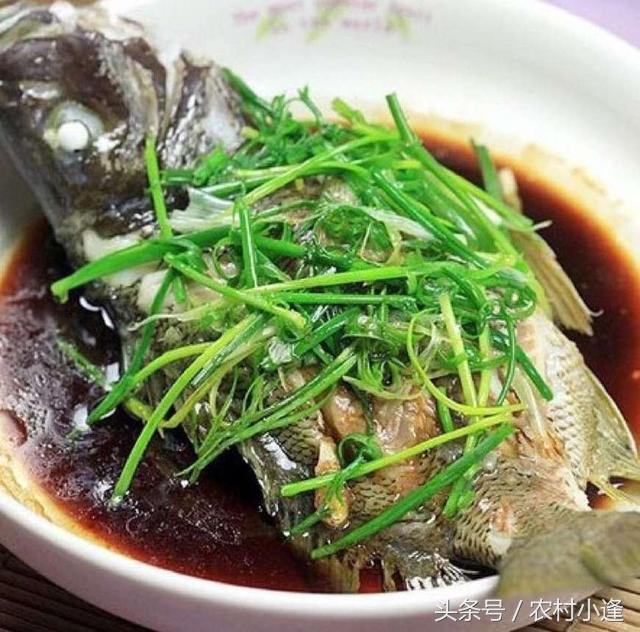 热水蒸鱼还是冷水蒸鱼