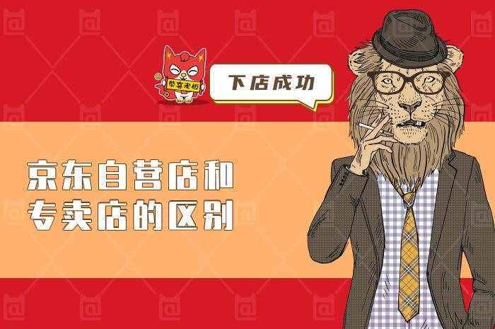 如何选择合适的电商模式