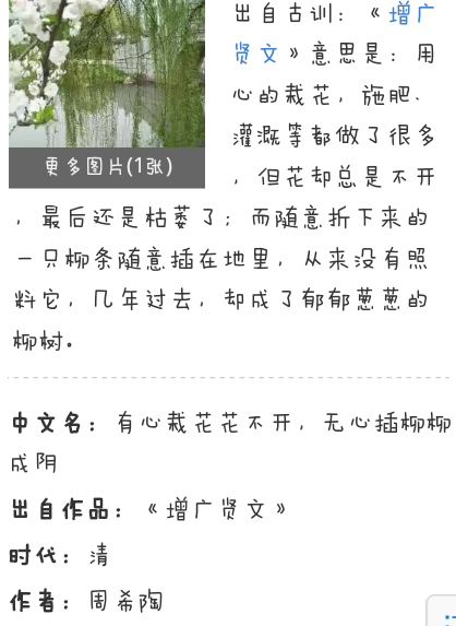 总结