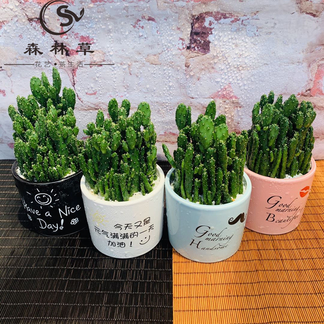 招财手带给您的不止是财富