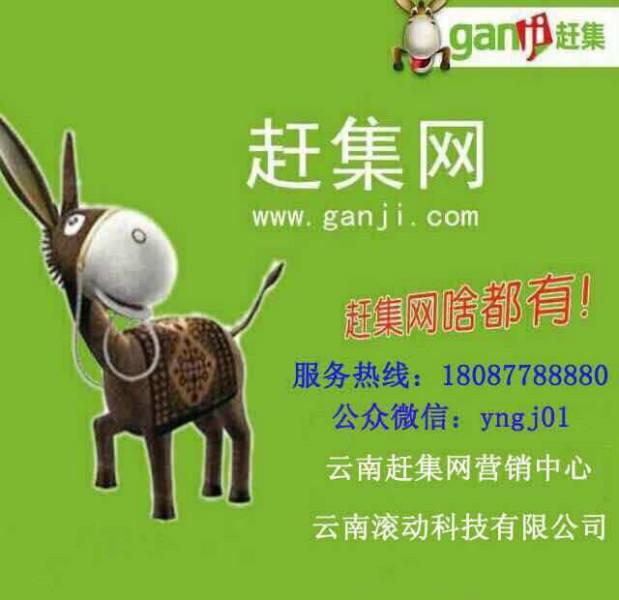 总结