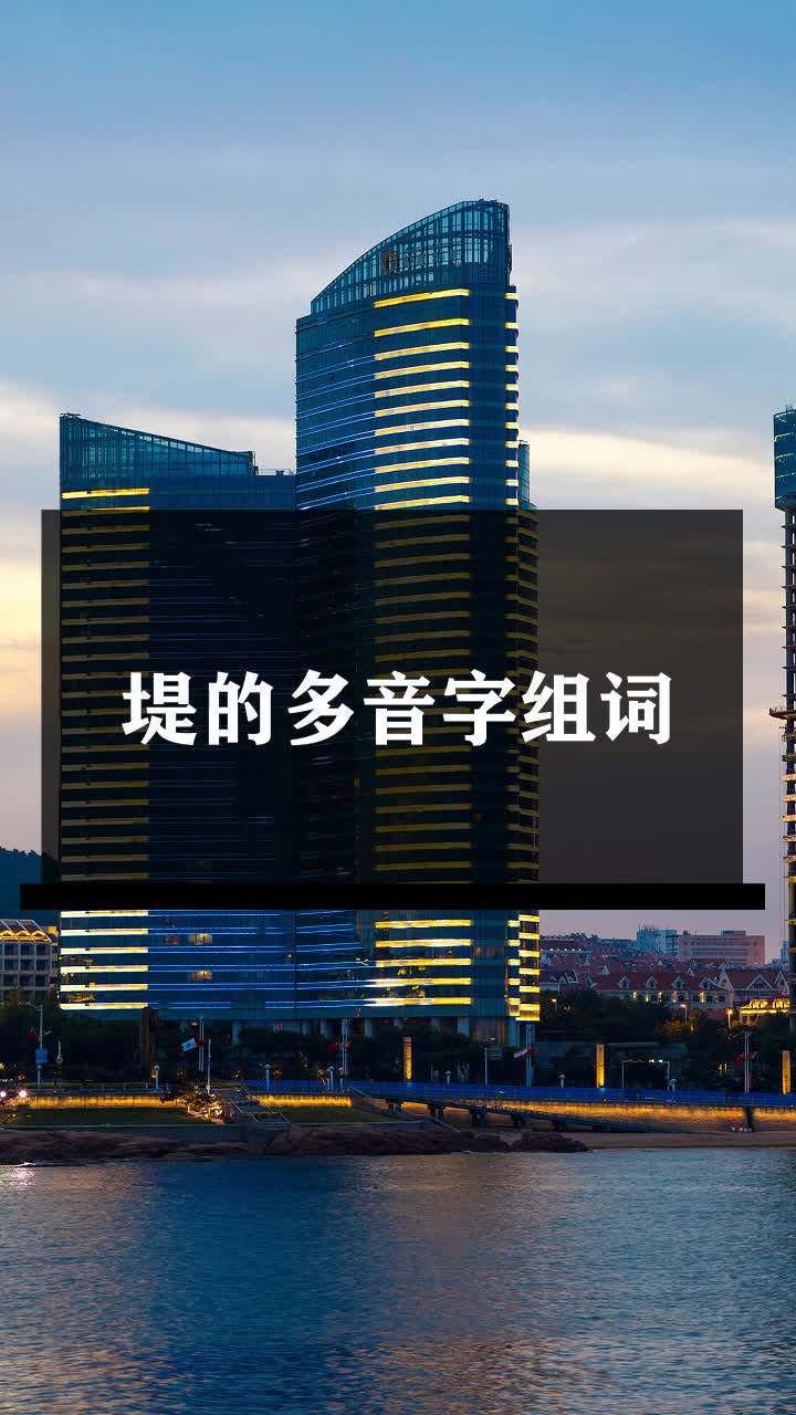 堤的中文释义