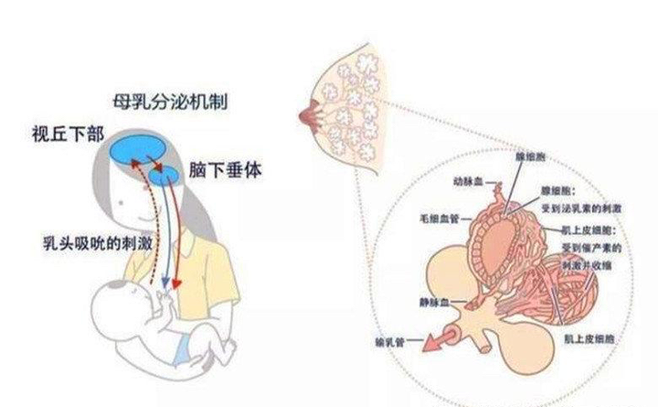 总结