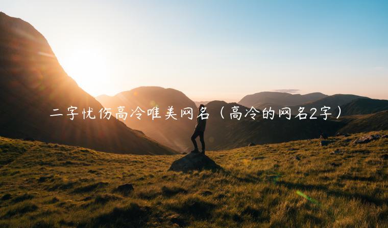 1. 突出个性特点