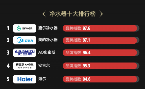 1. xxx牌净水器排行第一