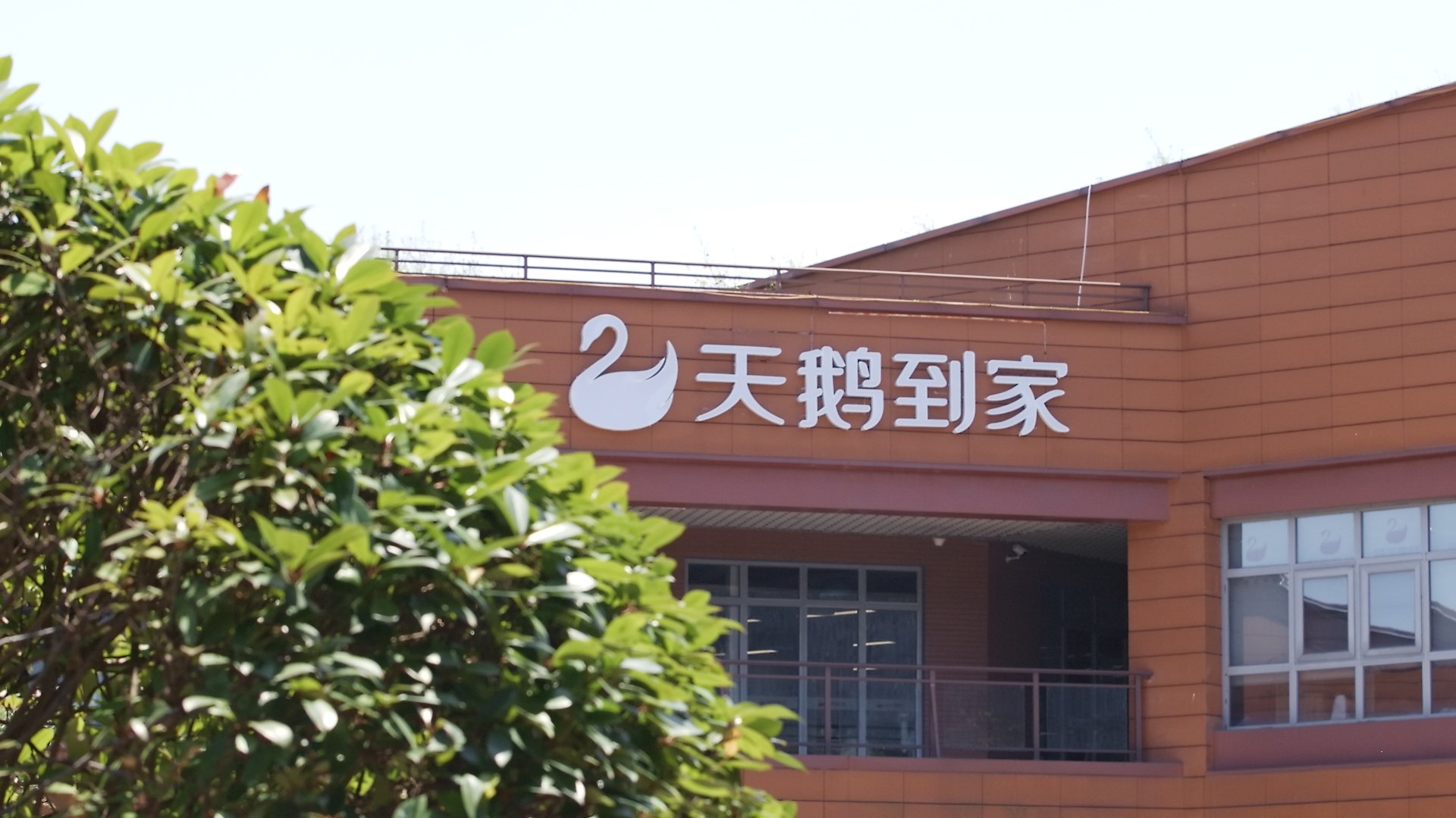 天鹅家政服务公司-高效贴心的家庭保洁