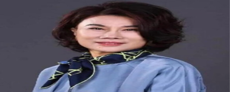 股权分析