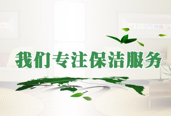 专业团队