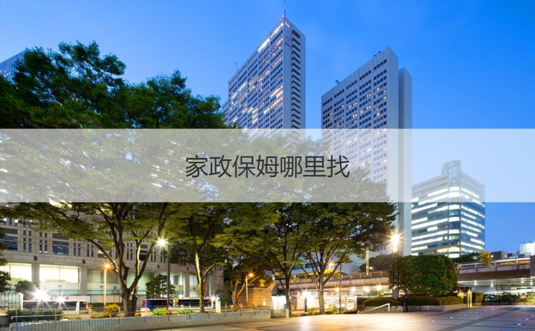 优质的保姆团队