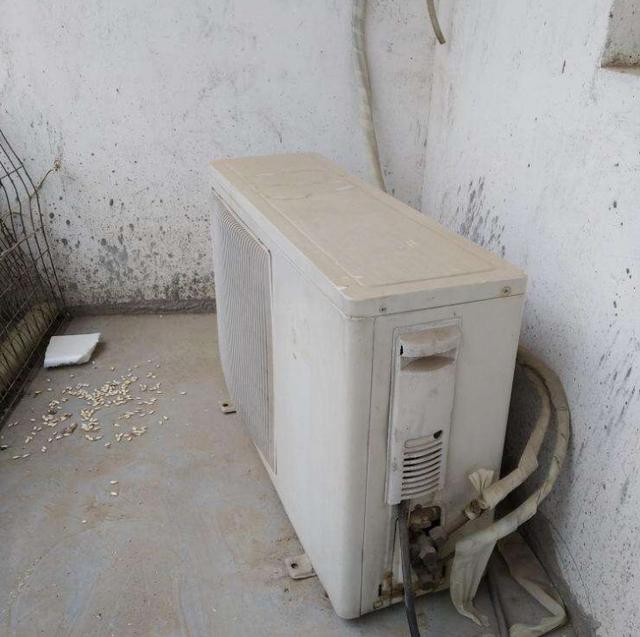2. 温度过低或过高