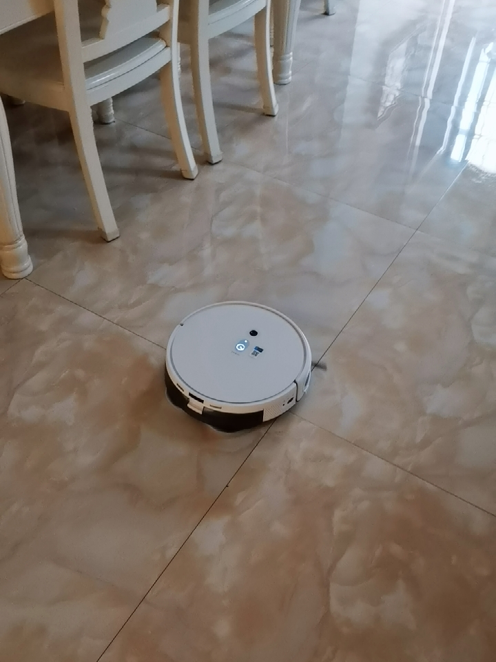 扫地机器人如何保持实用性