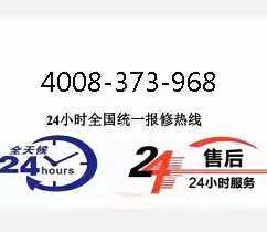 我们的服务内容