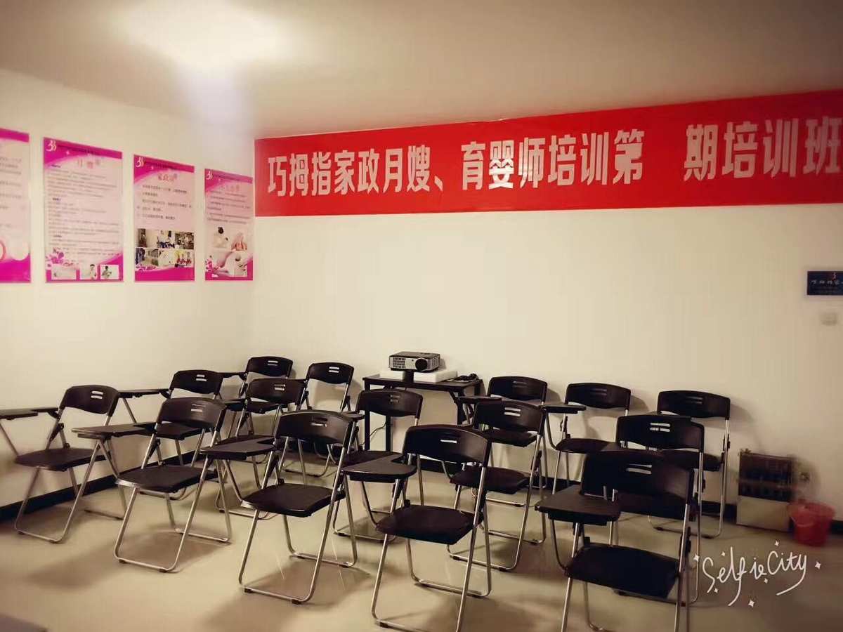 1. 专业教师队伍