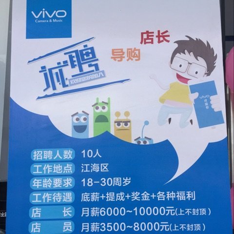 招聘信息多样性