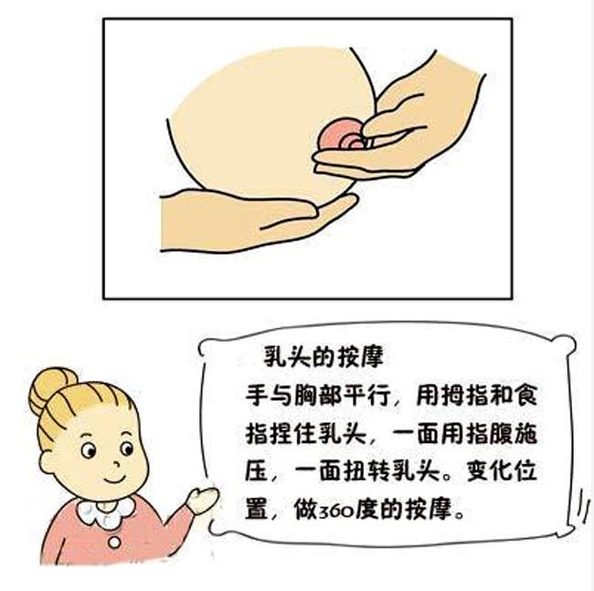 催乳按摩步骤
