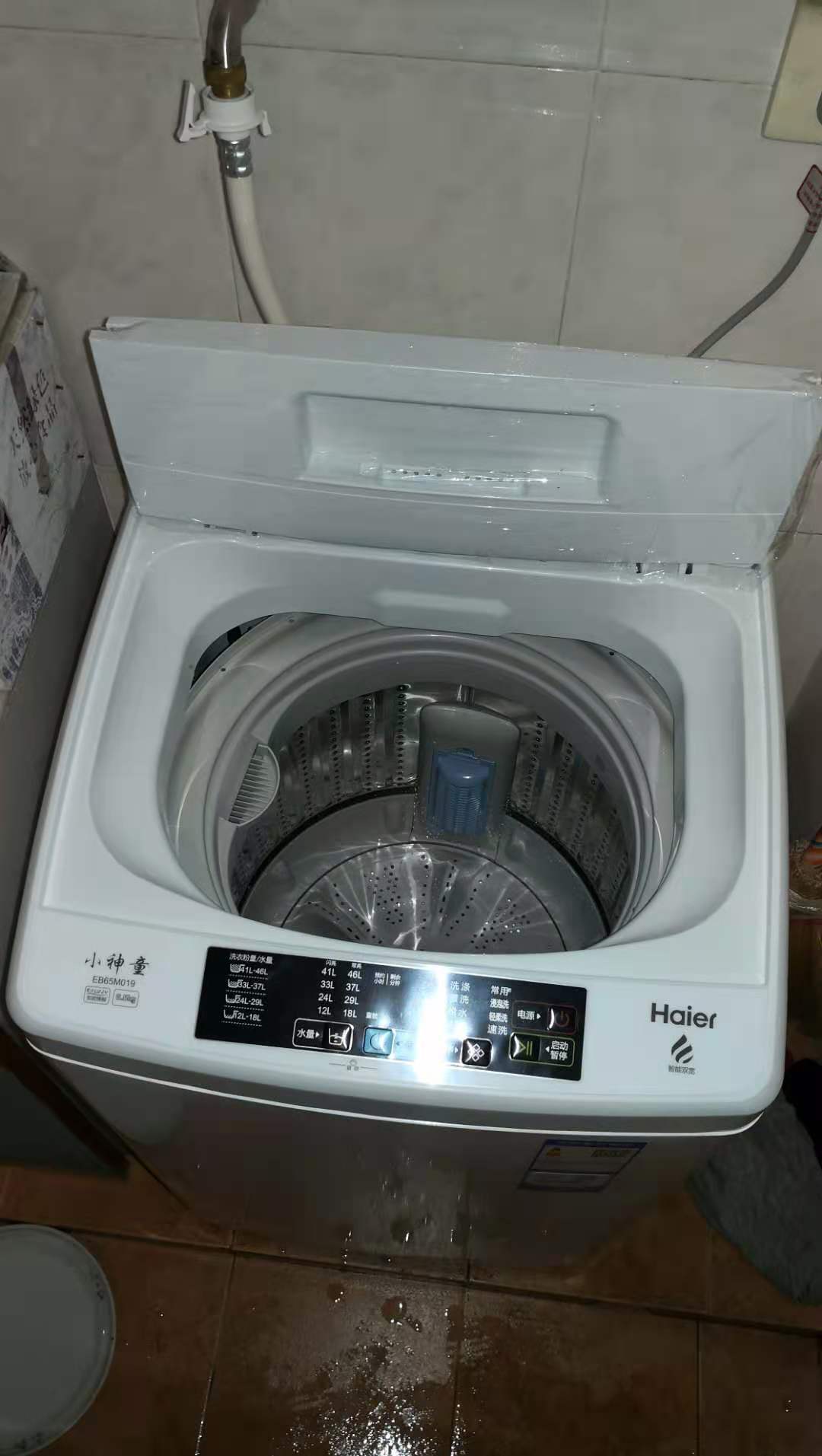 海尔小型洗衣机图片