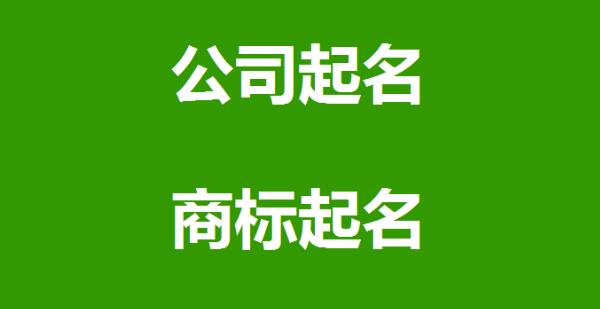 如何使用公司起名字大全免费