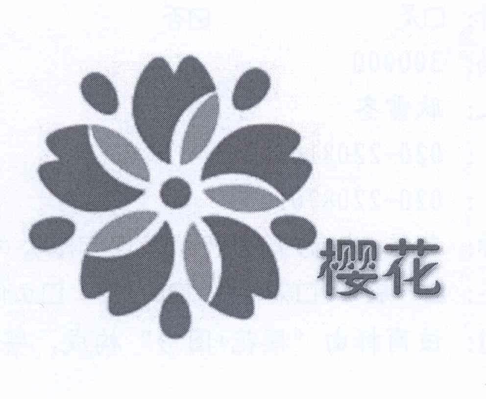 结语