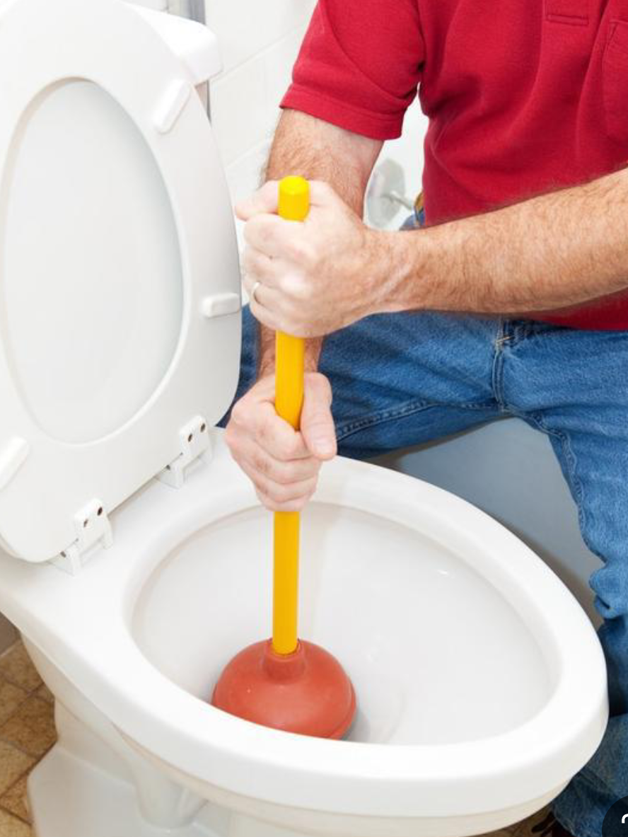 2. 使用专用马桶疏通剂