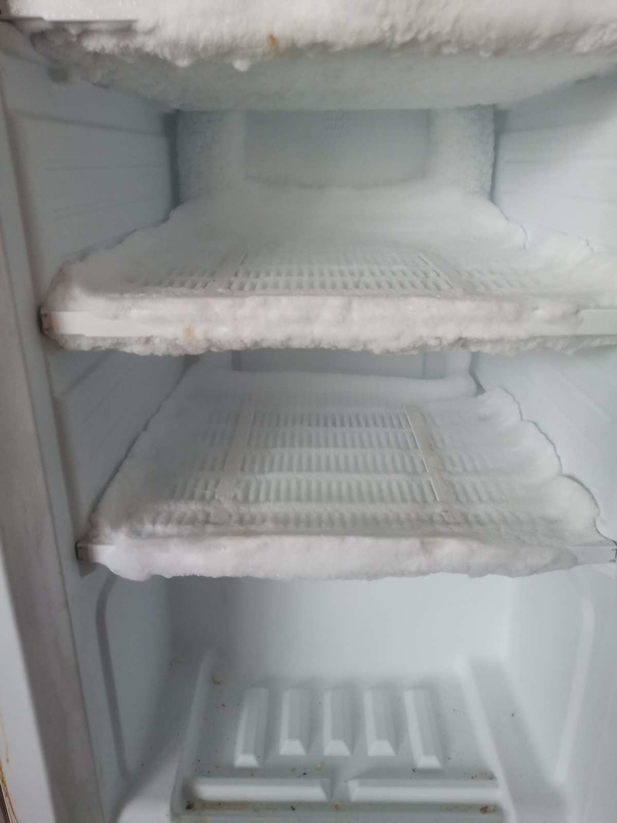 1. 清理冰箱内部