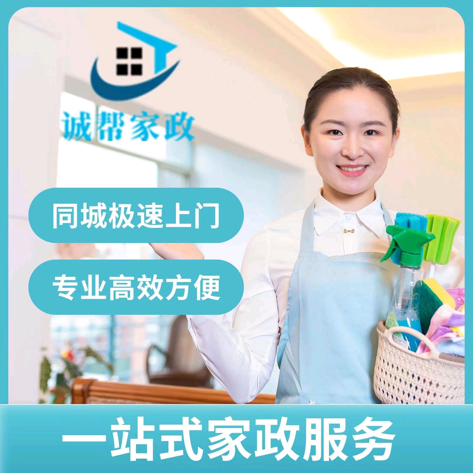 专业家政公司