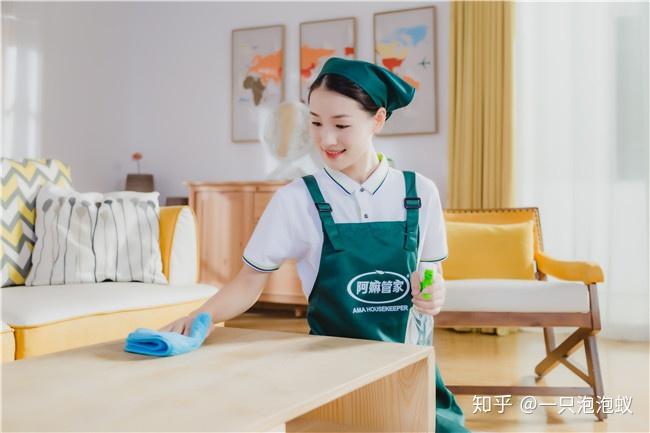 家政加盟费的优势和风险