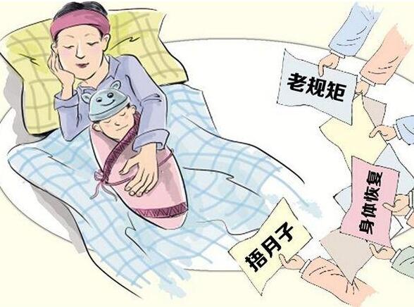 价格和服务内容