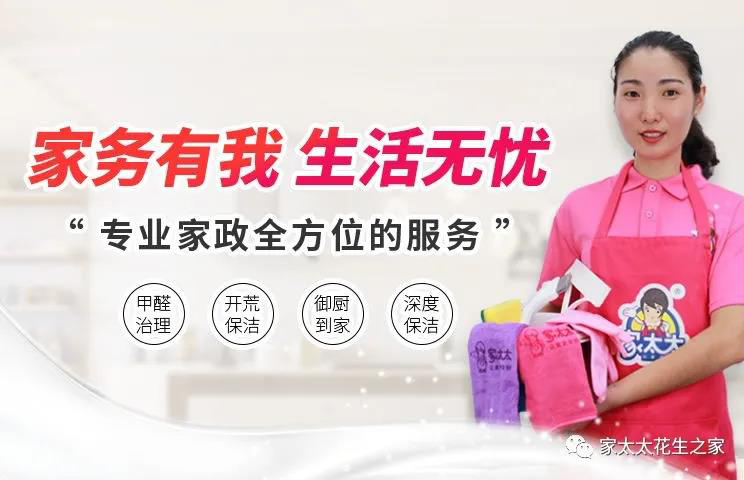 家政员现状