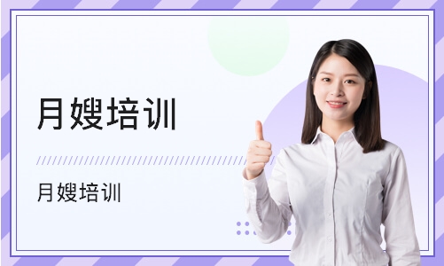 1. A月嫂公司