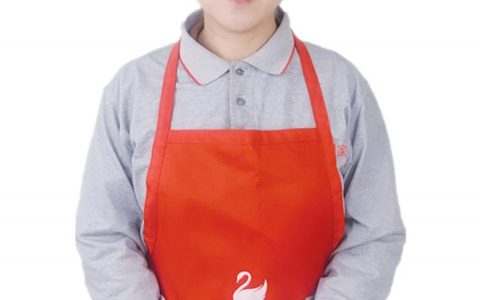 济南做饭阿姨多少钱一个月(济南阿姨做饭价格)