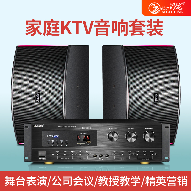 2. 索尼家庭KTV音响