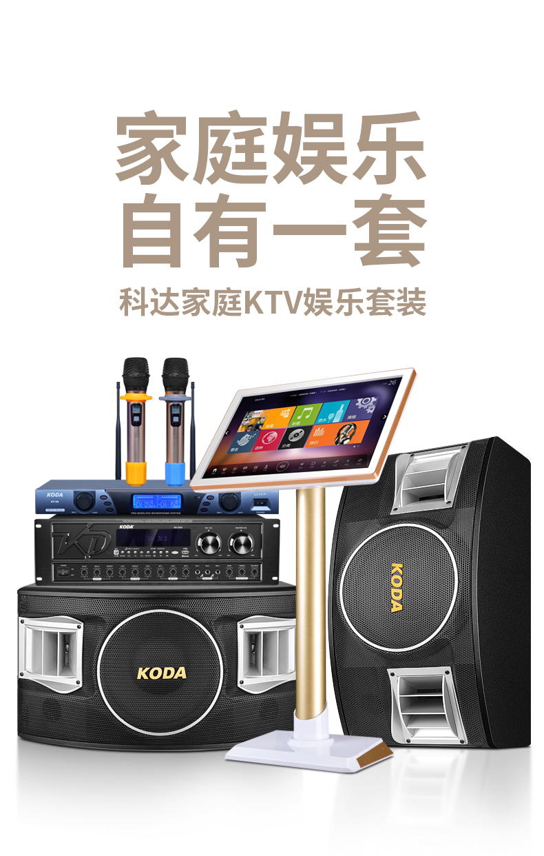 1. 佳能家庭KTV音响