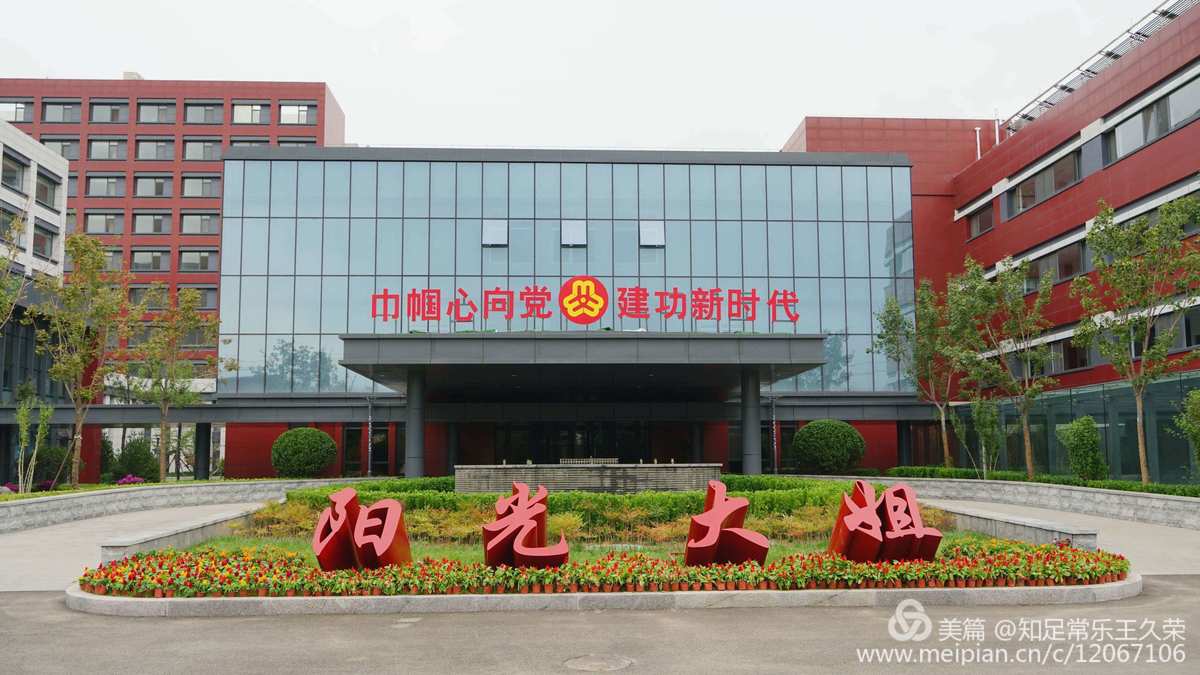 阳光大姐：温暖的化身