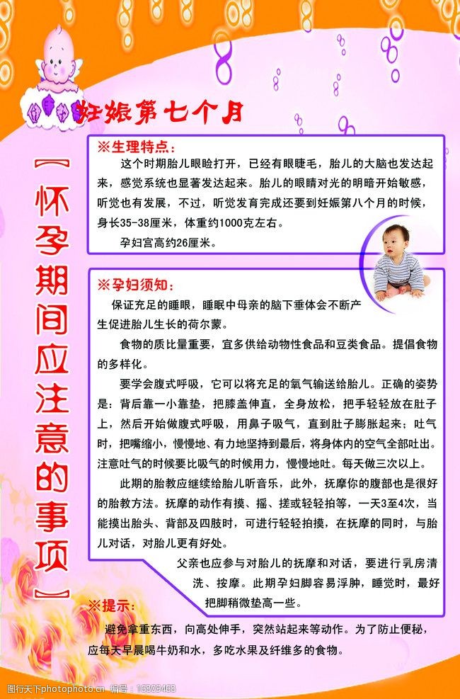 重要的营养元素